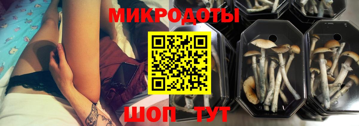 Псилоцибиновые грибы GOLDEN TEACHER  Вход с VPN  Россошь 